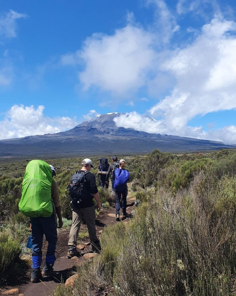 Hikers trekking Mount Kilimanjaro through scenic landscape