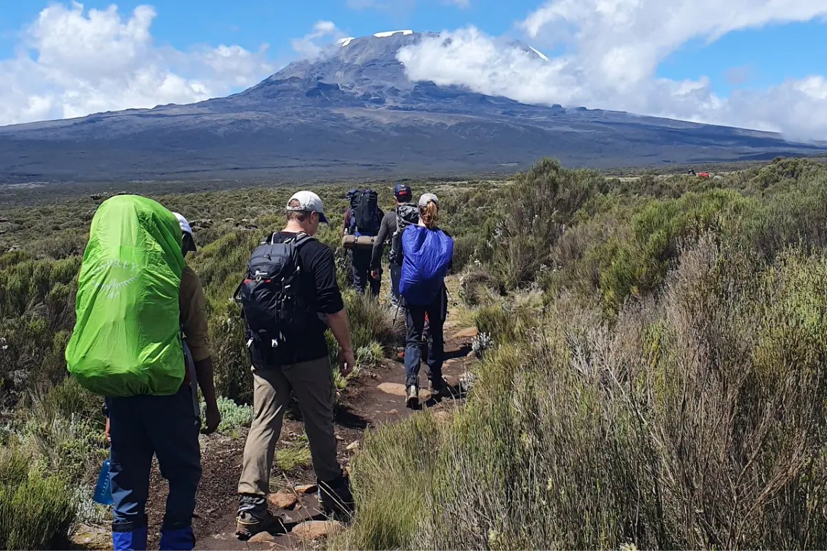 The 7 Days Lemosho Route is a scenic trail on Mount Kilimanjaro that starts at Londorossi Gate and crosses the Shira Plateau before joining the Machame Route. It follows the same path as the 8-day itinerary but skips one acclimatization day, making the climb slightly faster while still offering stunning views and a strong summit success rate.