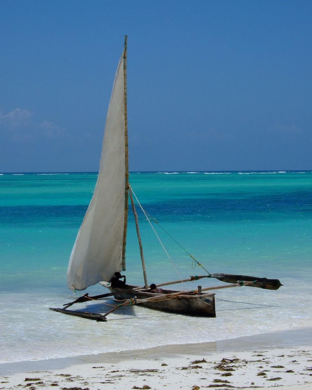 Traditional dhow sailing on Zanzibar beach Tanzania