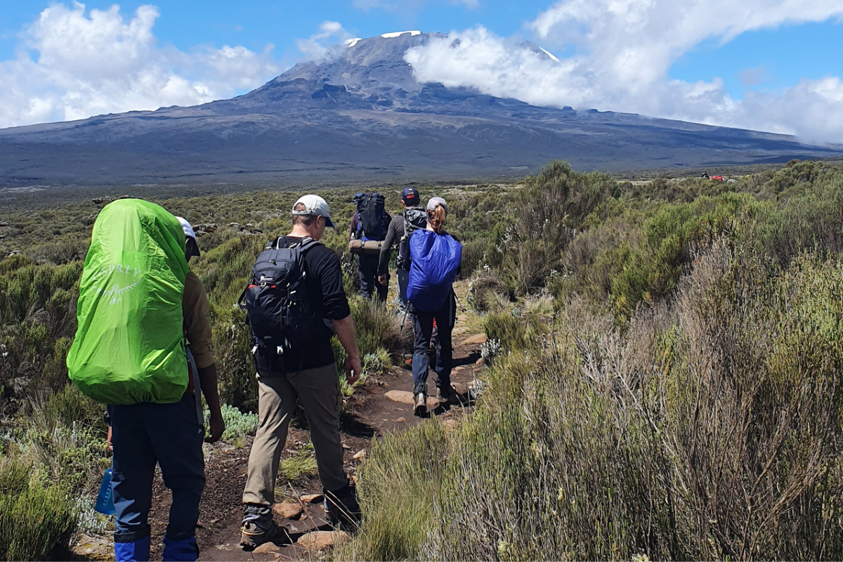 Hikers trekking the Lemosho Route on Mount Kilimanjaro, Tanzania.