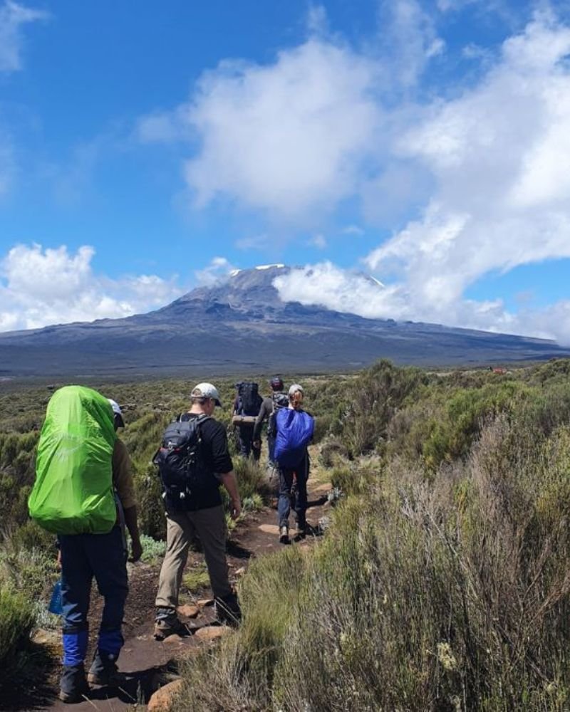 Hikers trekking Mount Kilimanjaro via the Lemosho Route with scenic mountain views in Tanzania