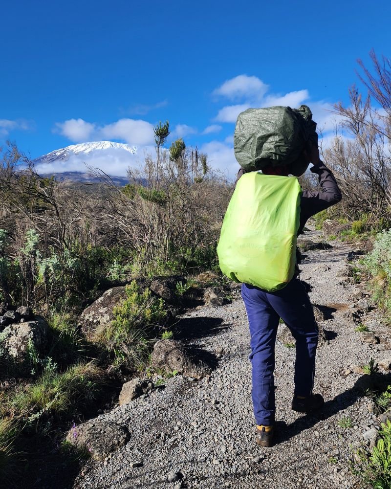 Professional Mount Kilimanjaro summit team guiding climbers to Uhuru Peak in Tanzania