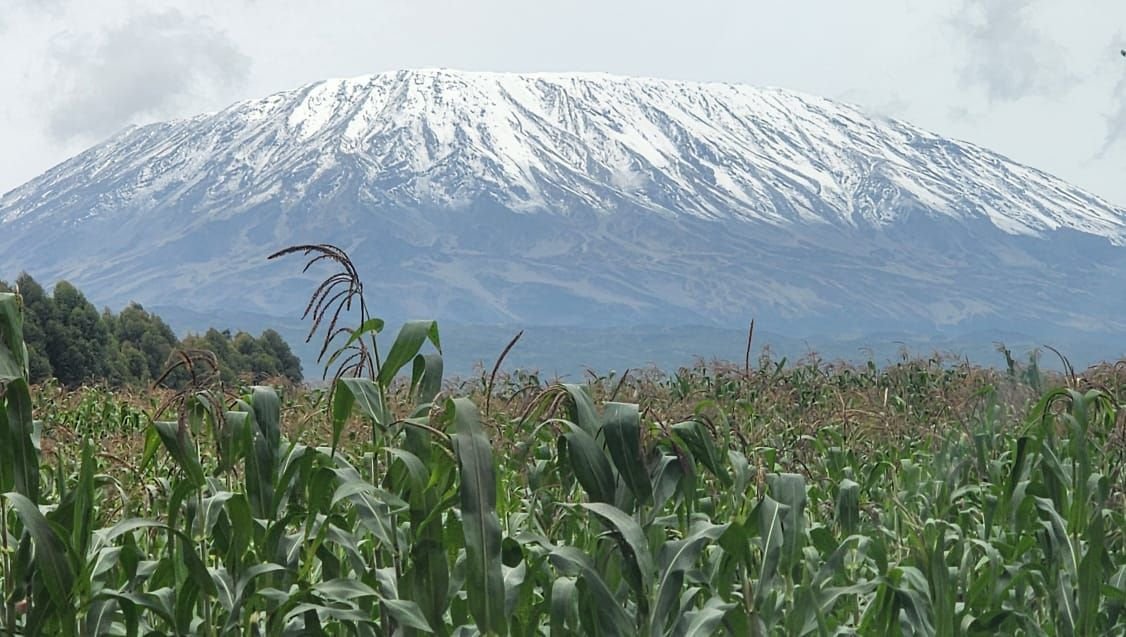 View of Mount Kilimanjaro Cultivation Zone with fertile farmland and villages at the mountain's lower slopes in Tanzania.