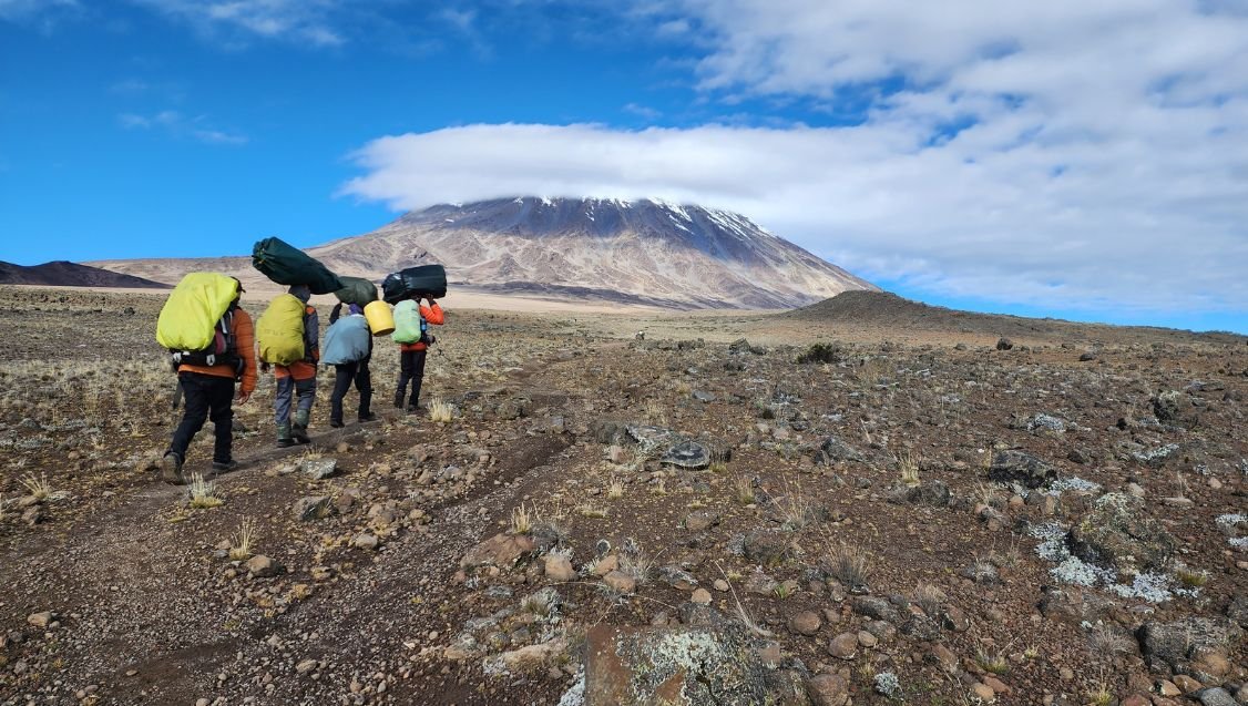 Trekkers hiking through the Mount Kilimanjaro Moorland Zone with giant groundsels and volcanic landscapes in Tanzania.