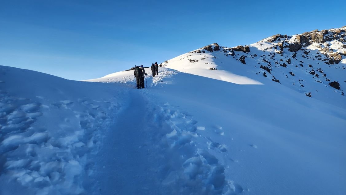Climbers trekking through the Arctic Summit Zone near Uhuru Peak on Mount Kilimanjaro, Tanzania.