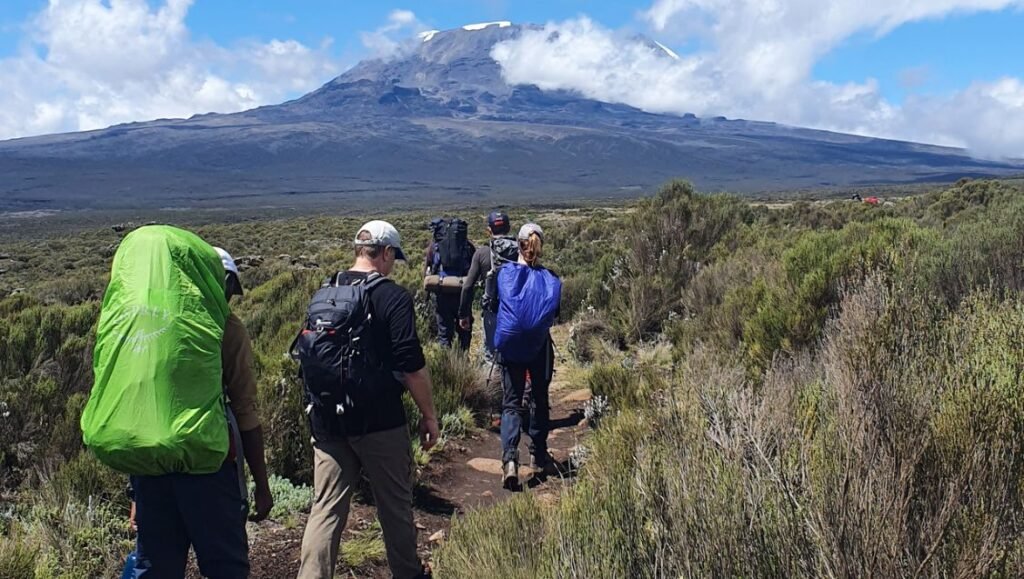 Hikers trekking on the Mount Kilimanjaro Lemosho Route during a guided climb in Tanzania.
