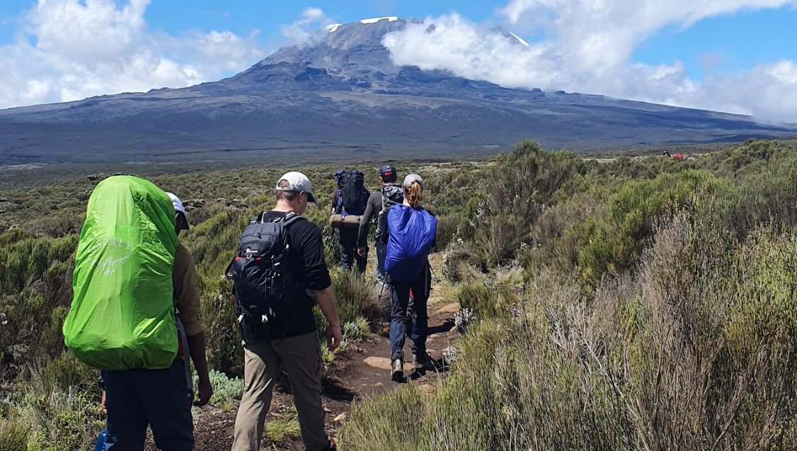 Mount Kilimanjaro trekking landscape on the Lemosho Route in Tanzania