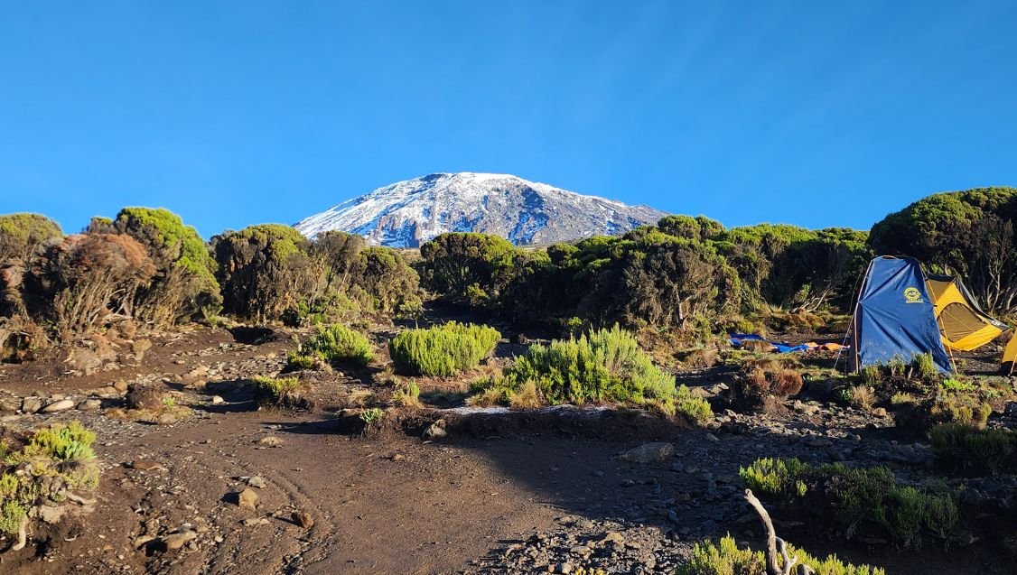 Trekkers hiking through the Mount Kilimanjaro Moorland Zone with giant groundsels and volcanic landscapes in Tanzania.