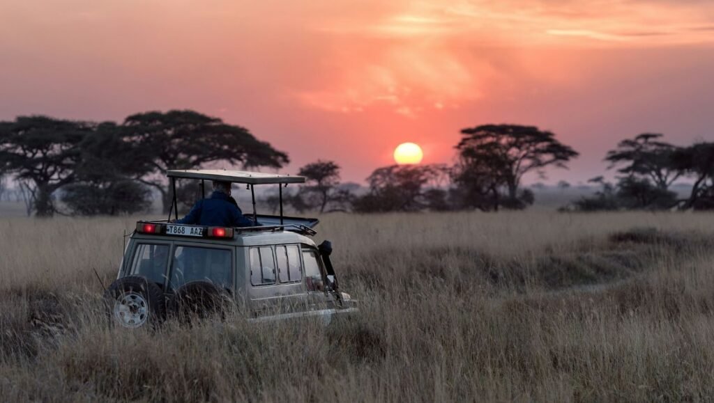 Safari vehicle in Serengeti National Park at sunset, Tanzania