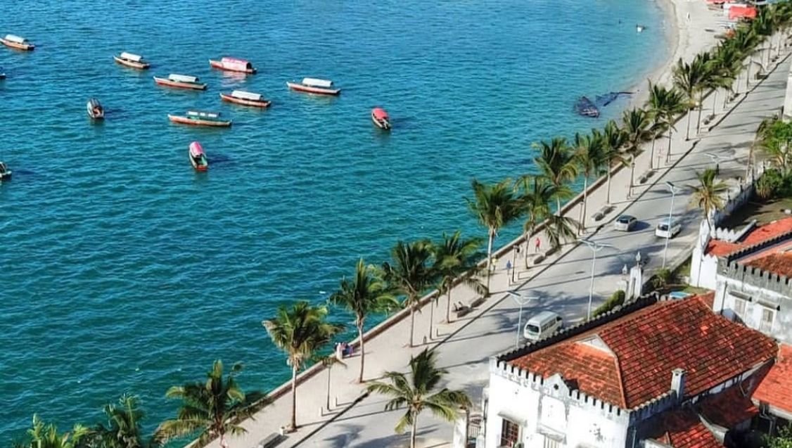 Aerial view of Zanzibar coastline with turquoise water and palm trees