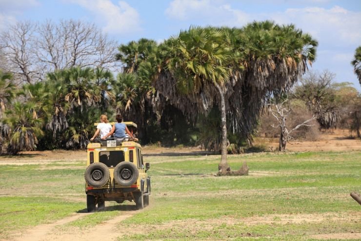 Safari vehicle viewing wildlife in Tarangire National Park Tanzania