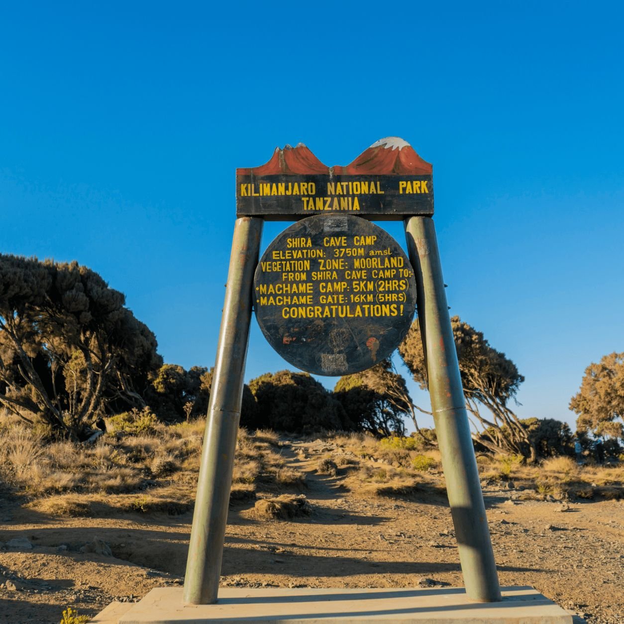 Kilimanjaro scenery for the Machame Route