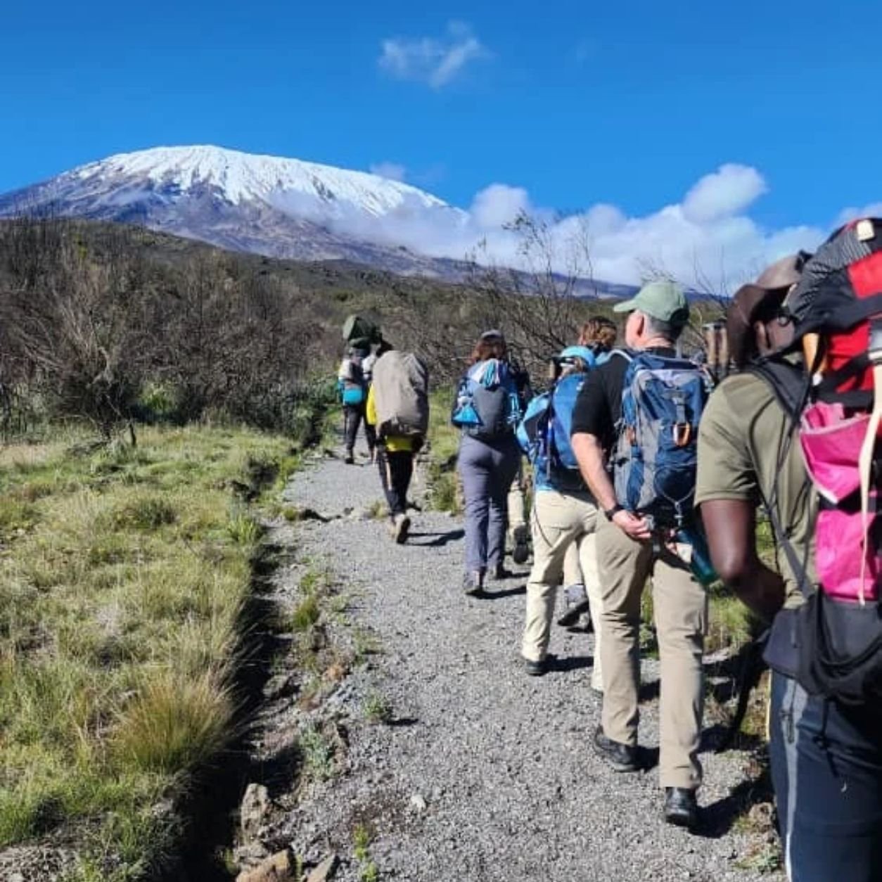 Trek to Kikelelwa Camp on the Rongai Route, Mount Kilimanjaro